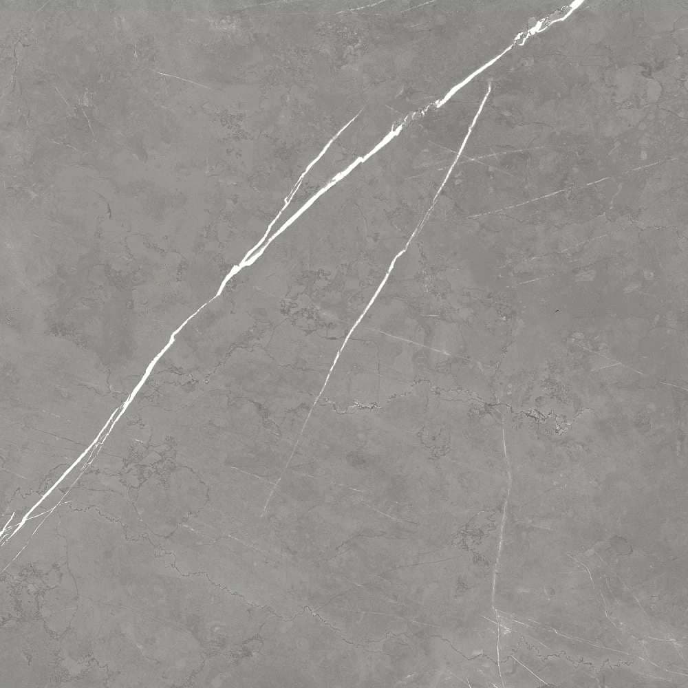 Керамогранит Atlas Concorde Forte Dei Marmi Elegant G. Rett 120x120