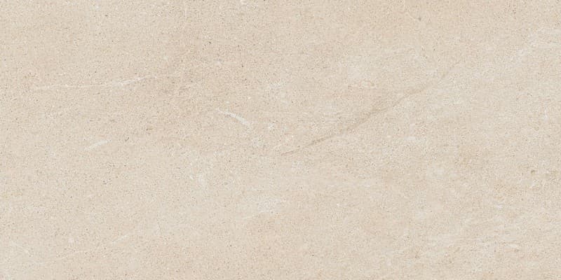 Керамогранит Forte Dei Marmi Rock Grey Stone 60x60