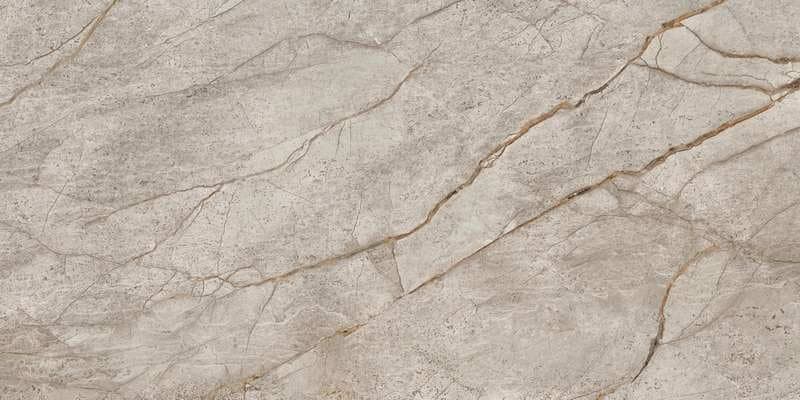 Керамогранит Empire Silver Root 60x120