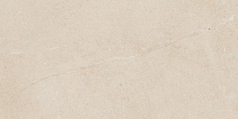 Керамогранит Forte Dei Marmi Rock Grey Stone 80x160 Лаппато