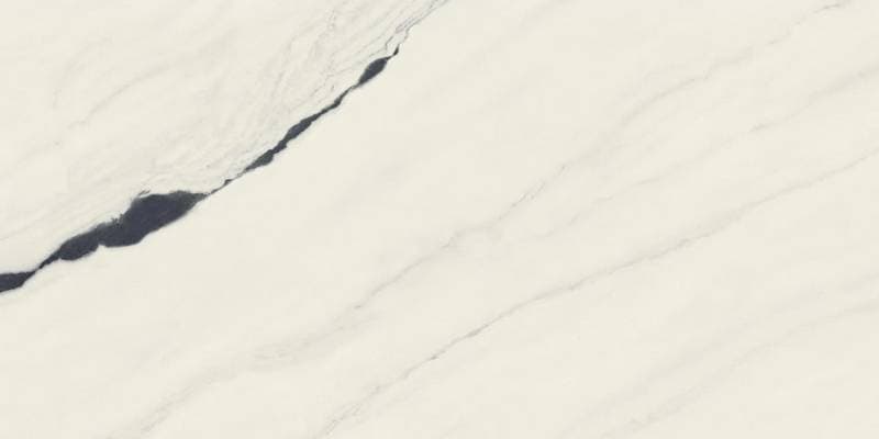 Керамогранит Atlas Concorde Forte Dei Marmi Panda White Rett 60x120 Cer