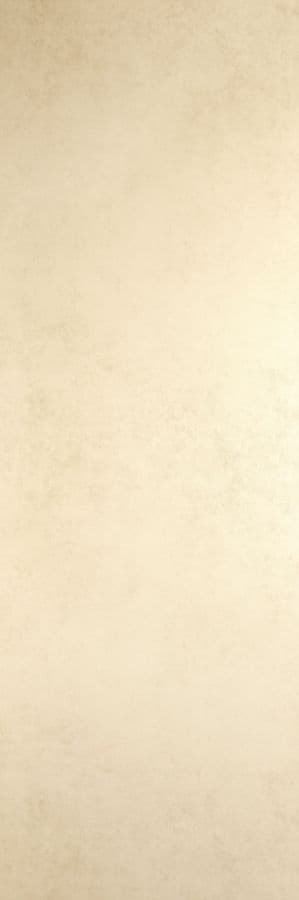 Blend Avorio 100х300 3+