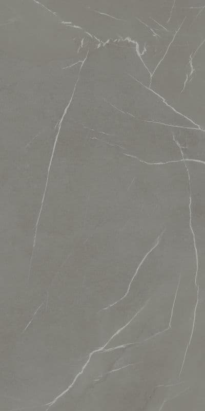 IN-SIDE Pietra Piasentina Grigio Fiammato 120x300 5+