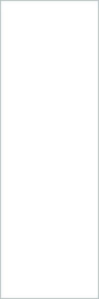 Solo Bianco 100х300 5