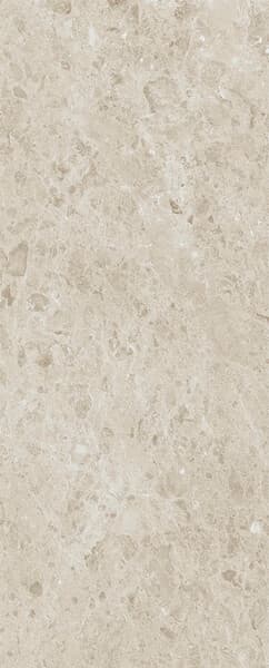 Rare Pietra Di Gre DNA 120x300 5