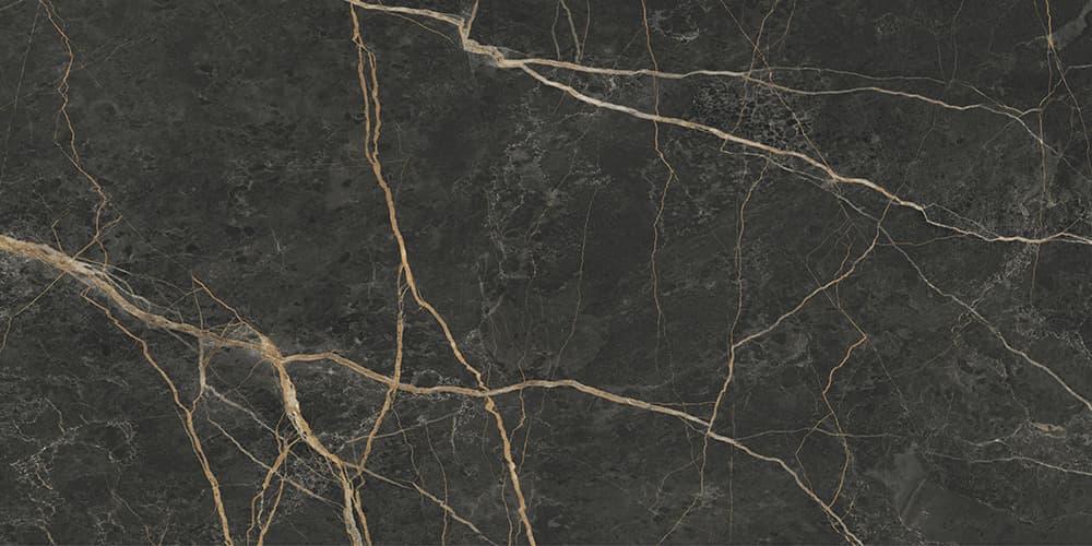 60x120 MarbleS Порт Лорен Лаппато R9