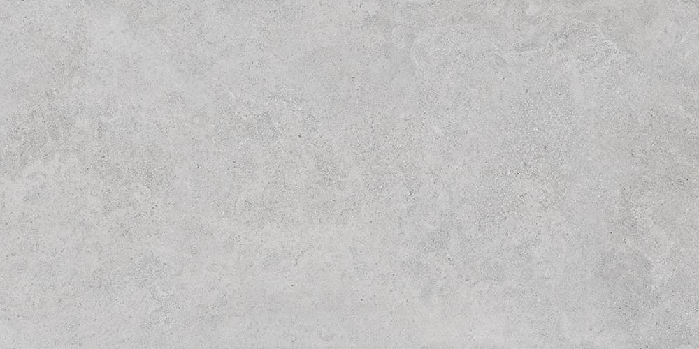 60x120 StoneS Боргония Клауд Серый Матовый R10A