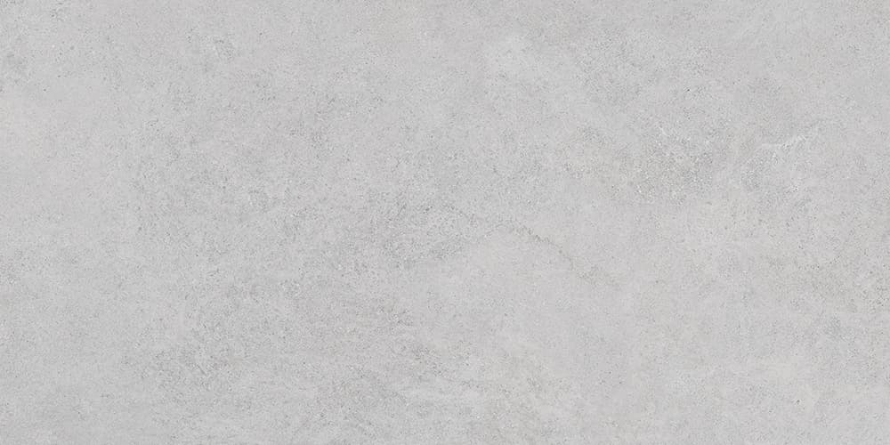 60x120 StoneS Боргония Клауд Серый Матовый R10A
