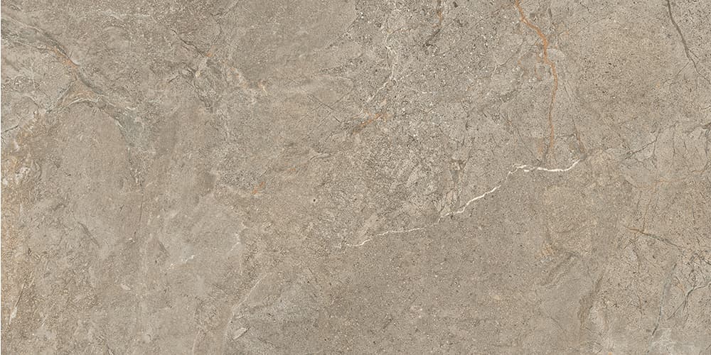 60x120 StoneS Пьетра Рома Табачный Матовый R10A