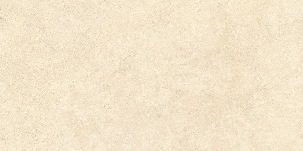 60х120 SandStone Песочный Матовый R10A Ректификат