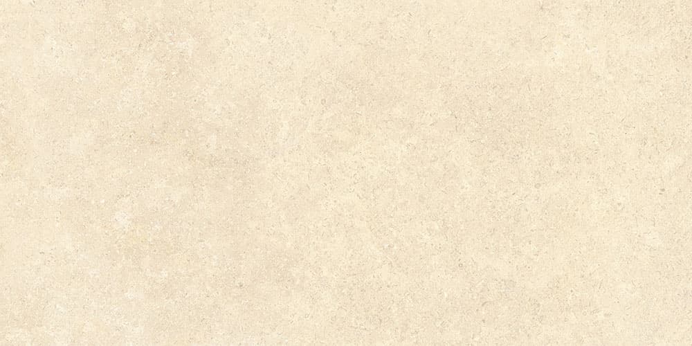 60х120 SandStone Песочный Матовый R10A Ректификат