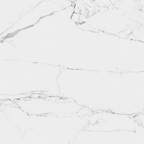 60x60 CityMarble Статуарио Венато Лаппато R9